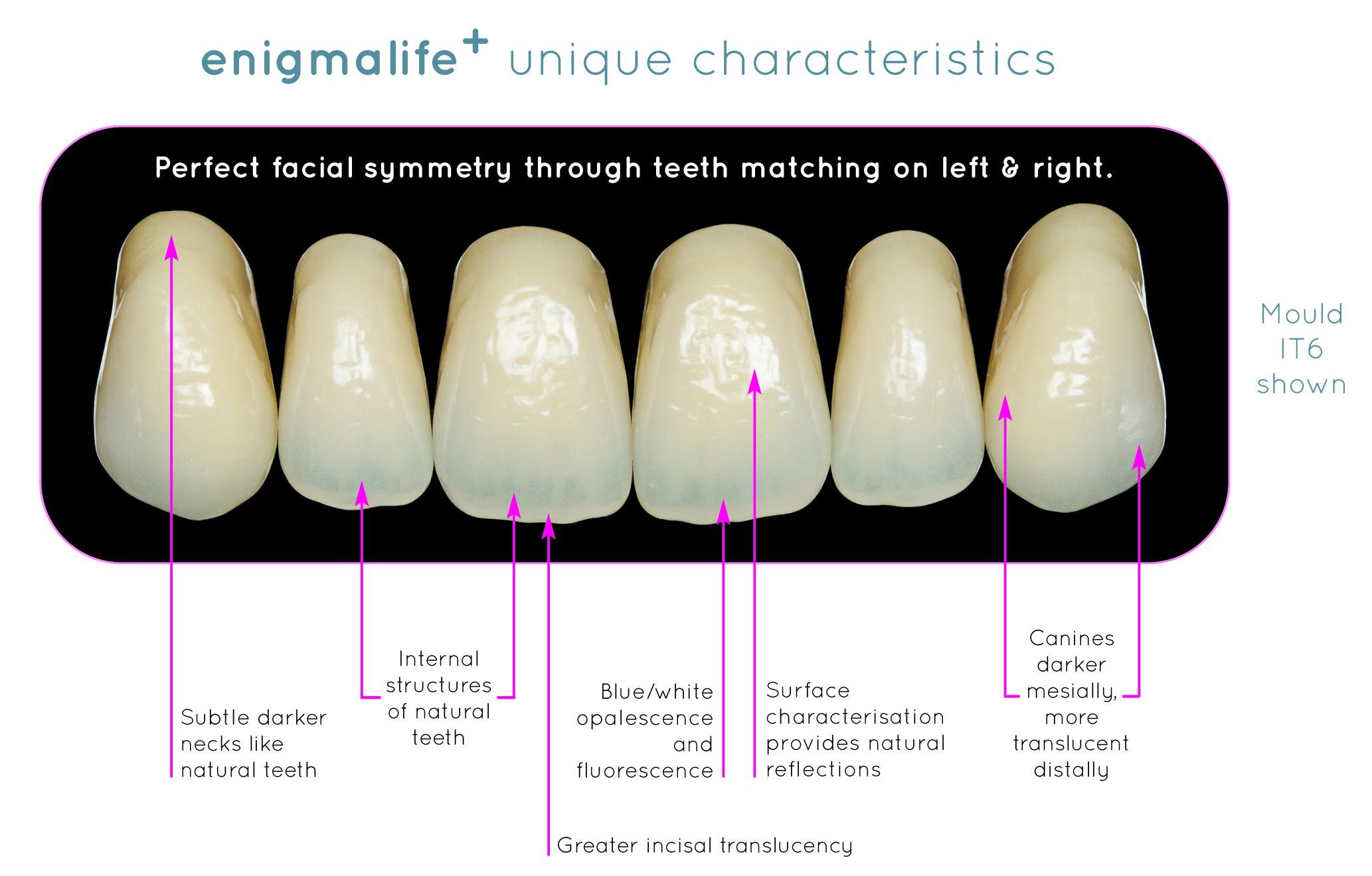 enigmalife+ Wren Dental USA