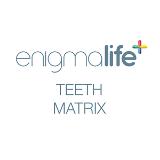 Enigmalife Cosmetic Denture Teeth - Ordering Matrix