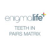 Enigmalife Cosmetic Denture Teeth in Pairs - Ordering Matrix