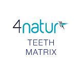 4natur Denture Teeth Ordering Matrix