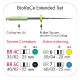 BioRaCe Extended Set