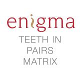 Enigma Cosmetic Denture Teeth in Pairs - Ordering Matrix