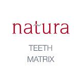 Natura Denture Teeth - Ordering Matrix
