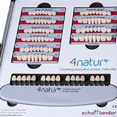 4natur Denture Teeth