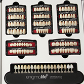 Enigmalife Denture Teeth